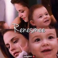 Twilight series baby board book idea?