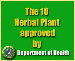 Philippines Herbal Medicine Plants Approved By Doh Herbalism Herbal Plants Herbal Medicine
