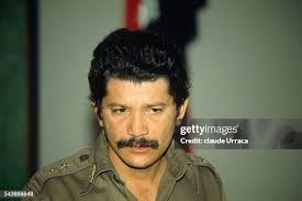 479 Cerna Stock Photos, High-Res Pictures, and Images