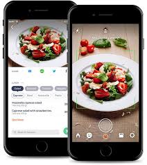 Calorie Mama Food Ai Food Image Recognition And Calorie