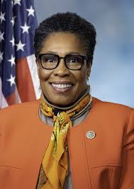 5 // Black History Month: An Interview with Copper Daniel 17 // President  Trump Incites Insurrection at US Capitol 18 // GA Runo