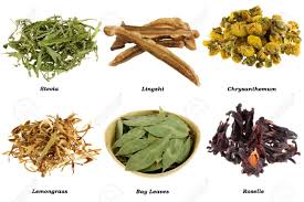 Leaves and flowers tea review. Assortment Of Dried Herbal Tea From Leaves Flowers Isolated On White Background Stock Photo Picture And Royalty Free Image Image 14092479