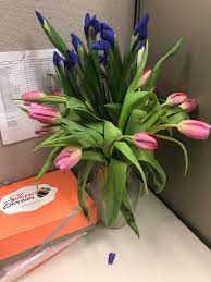 Cheapest way to send flowers reddit. Paid Proflowers 150 For This Lifeless Bouquet To Be Delivered To My Wife At Work Was Supposed To Have Red Roses As Well As Yellow Daisies Mildlyinfuriating