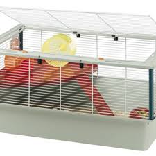 What can i put on my hamster's cage to stop biting? Cage Rage In Hamsters The Complete Guide Pethelpful