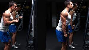 Pull the straight attachment down to your. How To Do Triceps Pushdown With Cable Machine