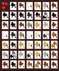 Poodle Breeding Color Chart Poodle Grooming Poodle Dog