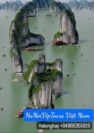 Hi. Is it recommended to visit Nin Binh and Ha Long Bay in February,  weather-wise?