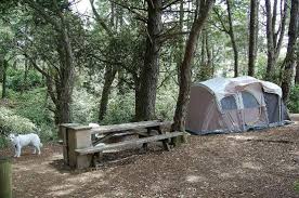 See all things to do. Gerstle Cove Campground Site 21 Picture Of Salt Point State Park Jenner Tripadvisor