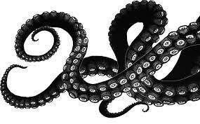 Bw Tentacles Drawing Pinterest Tentacle Octopus Octopus Tentacles Drawing Kraken Tentacle