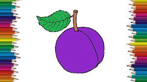 Now draw a vertical line that divides the plum fruit visually into two parts. How To Draw A Plum Step By Step Plum Drawing And Coloring For Kids Youtube