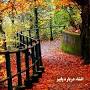 Image result for ‫انشا پایه هفتم درباره پاییز | نگارش هفتم صفحه 20 پاییز‬‎