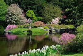 Sue Anne Hodges Photography Blog Beautiful Gardens Japanese Garden Azaleas Garden