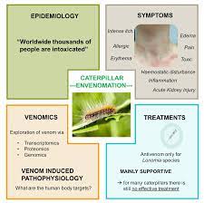 Now apply it over the affected site and let it remain for one hour before washing the area with cold water. Biomedicines Free Full Text Caterpillar Venom A Health Hazard Of The 21st Century Html