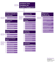 Student Engagement Org Chart Student Affairs Northwestern