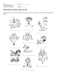 Dichotomous key worksheet answers key. Dichotomous Key Activity