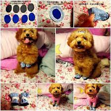 Diy Casual Dog Shoes Lovepetsdiy Com Dog Clothes Diy Diy Stuffed Animals Diy Dog Stuff