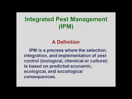 Integrated pest management emphasizes the use of low toxicity methods to reduce harm to humans and the environment. Module36 Pestmgmtapproaches Ipm 2019 Youtube