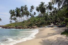 For beaches located in the south coast or west coast, go between december and march; Best Beaches In Sri Lanka That You Must Visit Travelinsightpedia