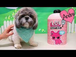 Juguetes con andre en español jugando con lol pets y familias lol!!! Andre Jugando Con Fuzzy Pets De Munecas L O L Surprise Y Con Perrito Hamilton Youtube Munecas Lol Juegos Para Ninos Cocina De Juguete De Madera