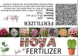 Use liquid fertilizer to feed your hoyas about once a month during the growing season. Details About It Fertilizer For Hoya Powder For 400 Ml Solution Fertiliser Pla Show Original Title