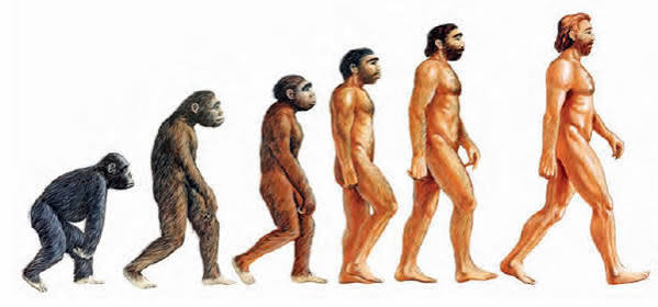 Historia Universal para principiantes: ¿Qué es la evolución de la especie?