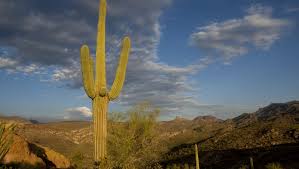 Superstition mountain is a prominent mountain and regional landmark located in the phoenix metropolitan area of arizona, immediately east of. Lure Of Gold In Ariz Mountains Leads Hikers Astray