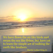 Here's a popular current meme. We Have Flown The Air Like Birds And Swum The Sea Like Fishes But Have Yet To Learn The Simple Act Of Walk The Earth Martin Luther King Martin Luther King