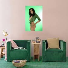 Amazon.com: Póster de la modelo Jana Defi Art Sexy 5Wall Poster Art  Impresión en lienzo para sala de estar, oficina, dormitorio, póster  estético de 12 x 18 pulgadas (11.8 x 17.7 in),