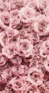 Collection by beep boop • last updated 3 weeks ago. Pinterest Pink Wallpaper Iphone Flower Phone Wallpaper Rose Wallpaper