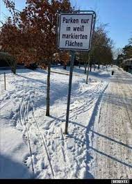 Bitte achten sie trotzdem auf die beschilderung. Parken Nur In Weiss Markierten Flachen In 2021 Hund Witze Lustige Bilder Witze