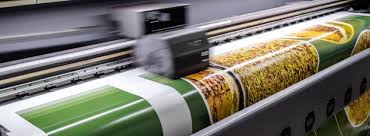 Image result for nemoci u%u0161  u ps%u016F