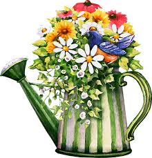 Baixe grátis imagens png de design gráfico, clipart para sua inspiração de design. Immagine Gratis Su Pixabay Fiori Dell Acquerello Floreali Watercolor Flowers Flower Illustration Flowers