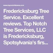 Fredericksburg Tree Service Excellent Reviews Top Notch Tree Services Llc Is Fredericksburg Spotsylvania S F In 2021 Tree Service Tree Removal Service Tree Removal