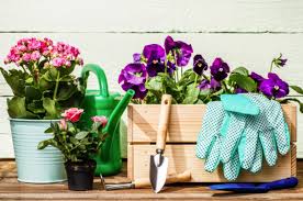 Uopće ne volim imati cvijeće u kući, ni rezano ni u tegli, ako se zaželim cvijeća odem van na livadu i nema ljepšeg prizora. Vrtno Cvijece Koje Se Cvijece Sadi U Proljece Pogledajte Slike