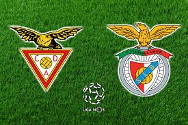 Classificação atualizada e tabela completa de jogos. Desportivo Das Aves Vai Faltar Ao Jogo Com O Benfica Noticias De Coimbra