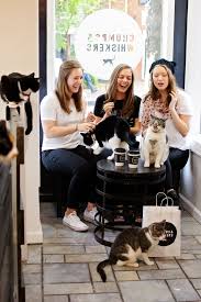 Yummy coffee and playful kitty cats to love on or play with. Pin By Black Cats Rule On Cat Cafe Cat Cafe Crazy Cats Crazy Cat Lady