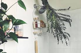 Seedlings are grown in containers but are more prone to damping off than other eucalypts; How To Grow Plants In Your Bathroom Well Good