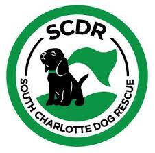 A team member will reach out to you within 72 hours of your request being submitted. South Charlotte Dog Rescue Home Facebook