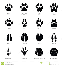 Empreinte Animaux Sauvages Google Search Tatouage Patte De Chat Empreinte Animaux Tatouages Patte