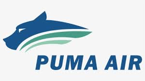This is pumas unam logo png. Puma Logo Png Images Free Transparent Puma Logo Download Kindpng