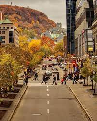 Narcity Quebec On Instagram Le Centre Ville De Montreal A L Heure De Pointe Photo Par Philipegosselin Narcityquebec Narci Quebec City Montreal Canada