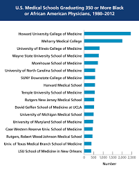 At A Glance Black And African American Physicians In The