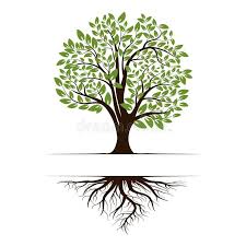 Logo Of A Green Life Tree With Roots And Leaves Vector Illustration Icon Isolat Sponsored Sponsor Roots Illustration Vector Illustration Cool Art Drawings