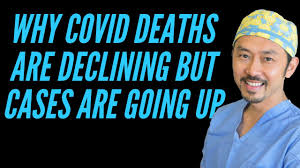 Why Are Covid Deaths Going Down But Cases Are Going Up A Surgeon S Answer Youtube