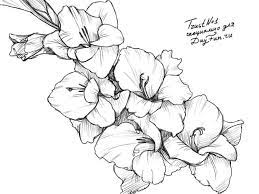 Pin On How To Draw