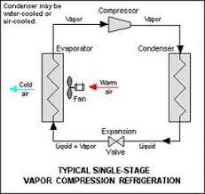 1 Explain The Process Of The Food Preservation Method Used