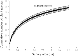 Image result for Musanga leo-errerae