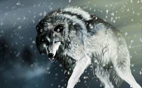 Subscribe to get 40 exclusive photos. Alpha Wolf Wallpapers Wallpaper Cave