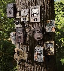 Trail Camera Test 12 Of The Best Models On The Market