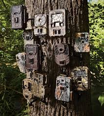 trail camera test 12 of the best models on the market